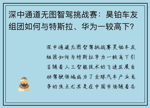 深中通道无图智驾挑战赛：昊铂车友组团如何与特斯拉、华为一较高下？