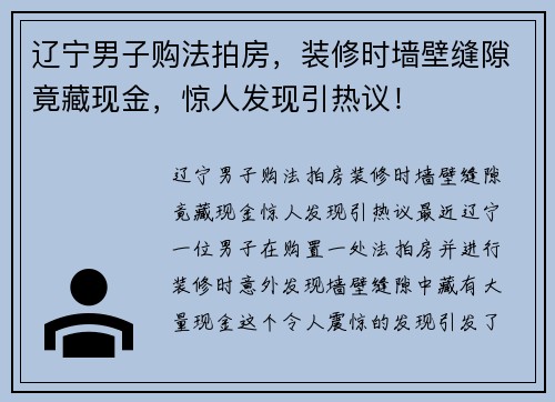辽宁男子购法拍房，装修时墙壁缝隙竟藏现金，惊人发现引热议！