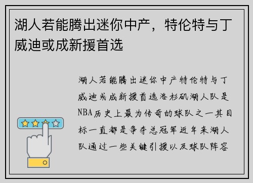 湖人若能腾出迷你中产，特伦特与丁威迪或成新援首选