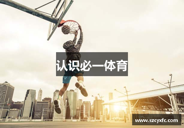 认识必一体育